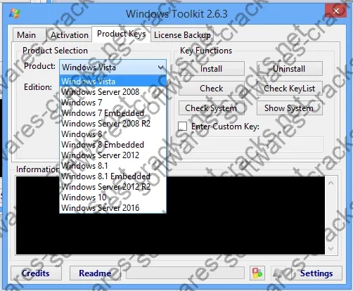 Microsoft Toolkit Activation key