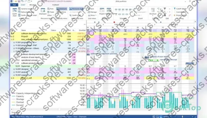 Rillsoft Project Crack