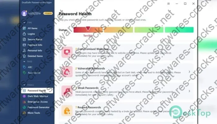 Dualsafe Password Manager Crack