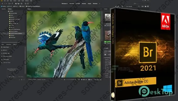 Adobe Bridge 2024 Crack