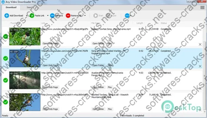 Any Video Downloader Pro Crack