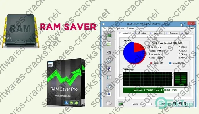 Ram Saver Professional Crack