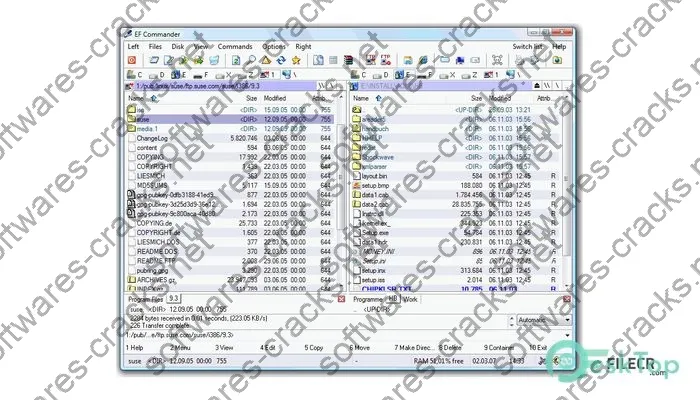 Ef Commander Keygen 24.02 Full Free Activated