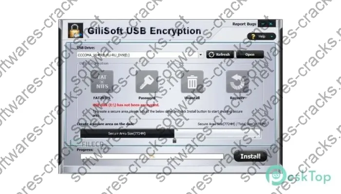 Gilisoft USB Stick Encryption Crack 12.4 Free Download