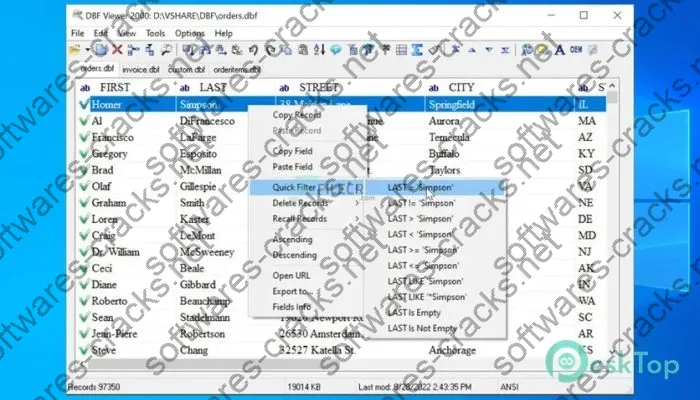 DBF Viewer 2000 Serial key 8.32 Free Download