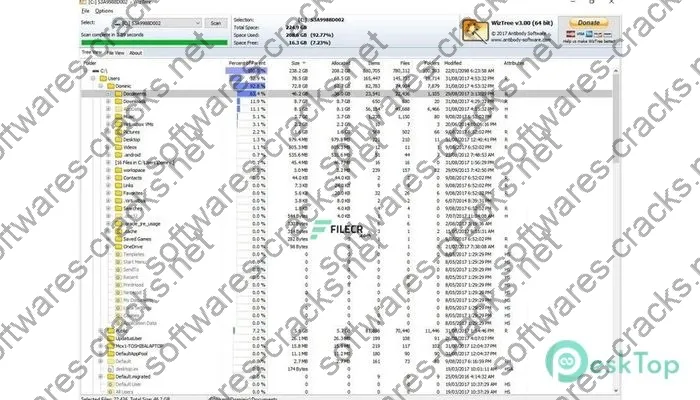 WizTree Crack 4.17 Free Download